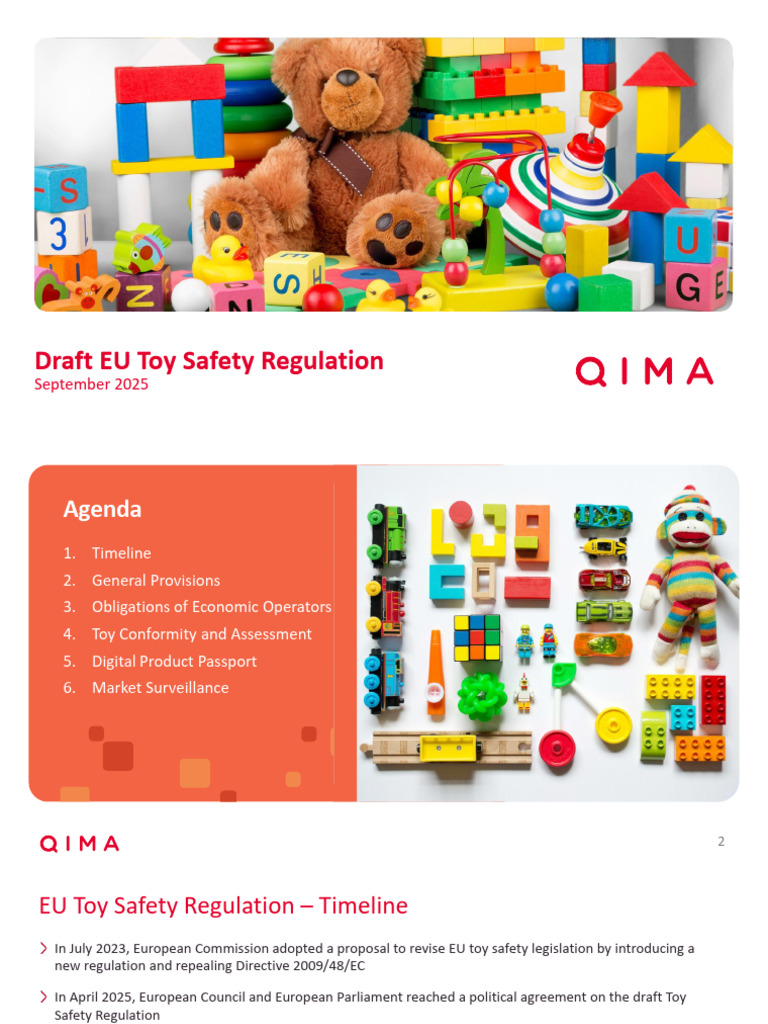 EU Toy Safety Regulation Overview 2025 | PDF | Toys | European Union