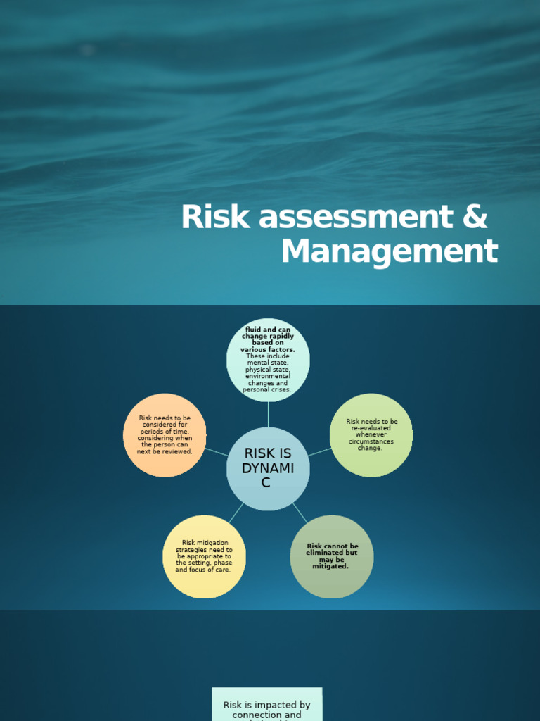 Dynamic Risk Assessment Strategies | PDF | Risk | Mental Disorder