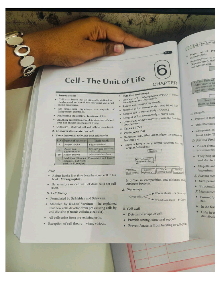 Bio Notes | PDF