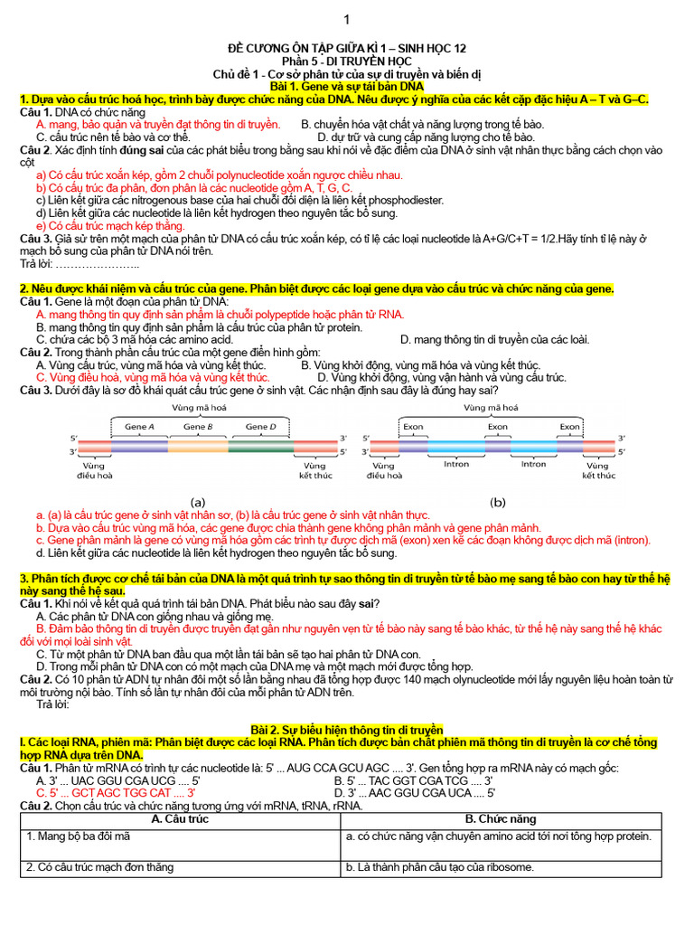 Dap An de Cuong On Tap Sinh 12 Giua Ki 1 2025 20261 | PDF