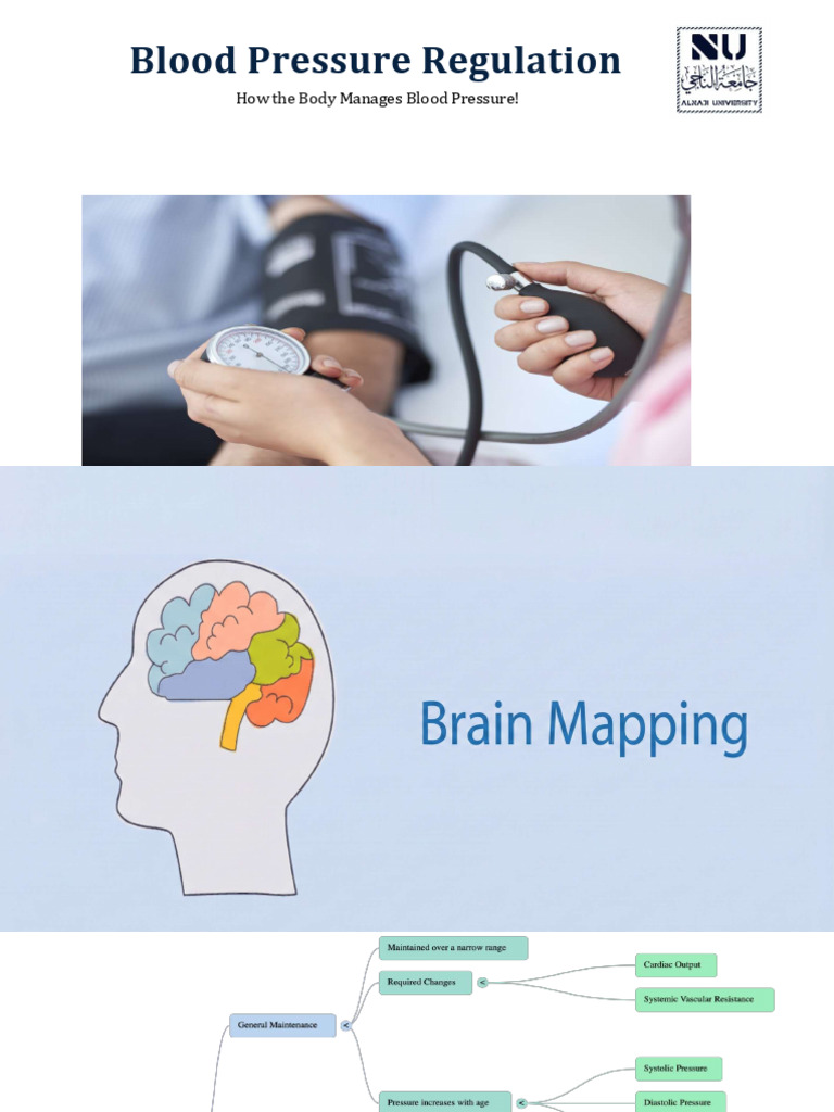 Blood Pressure Regulation Rapid and Strategic Control | PDF | Blood ...