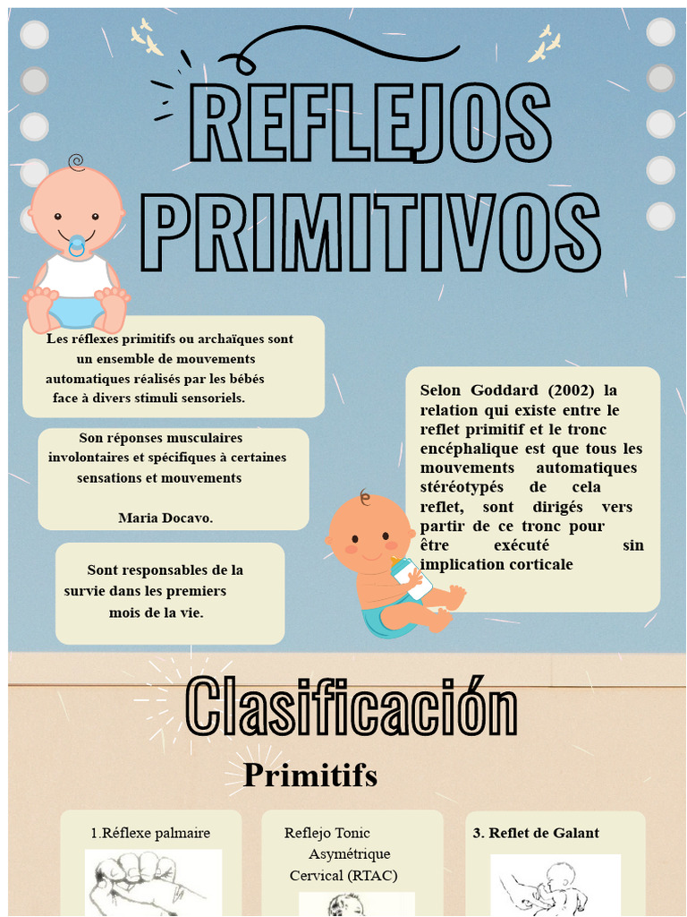 Réflexes primitifs chez les bébés | PDF