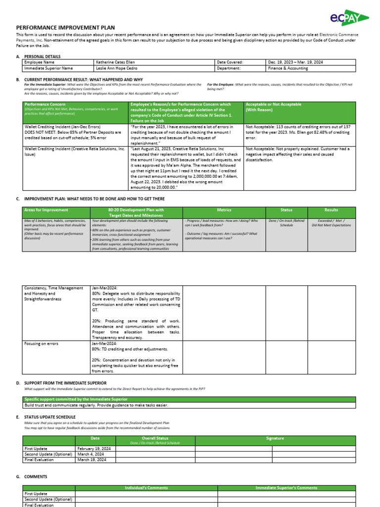 Performance Improvement Plan Overview | PDF | Business