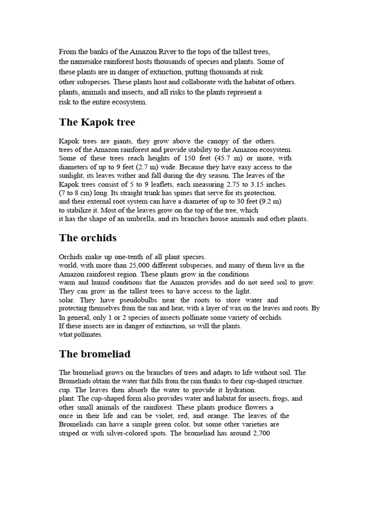 Amazon Rainforest Plant Species Overview | PDF | Trees | Rainforest