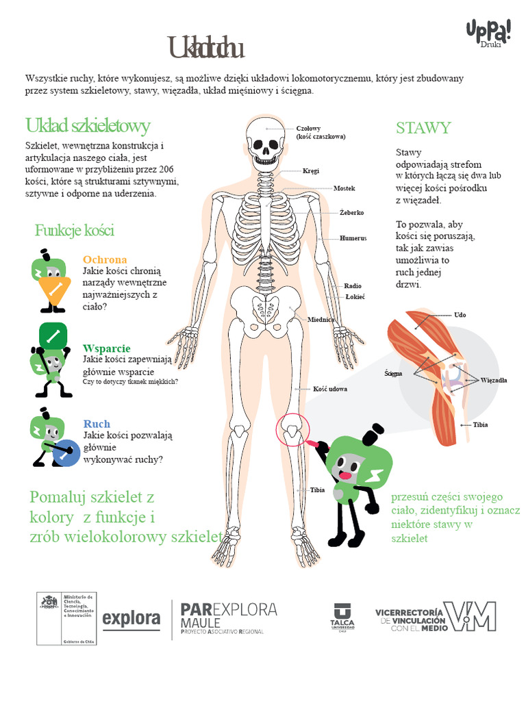 02 Układ Ruchu | PDF