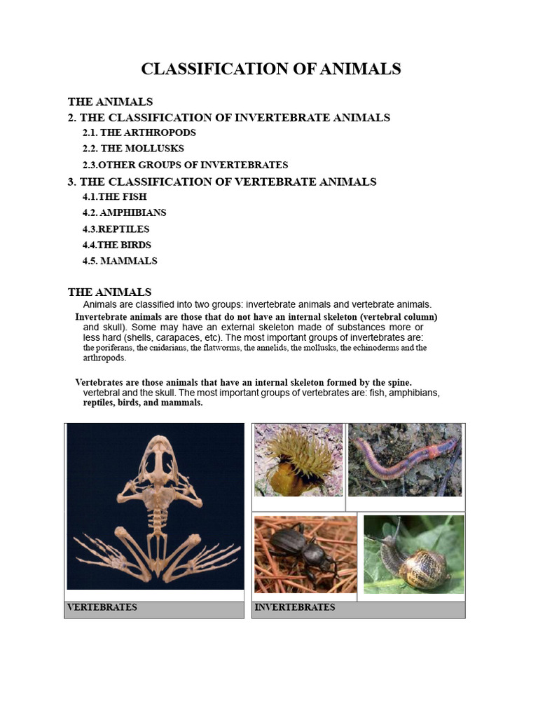 Animal Classification: Vertebrates & Invertebrates | PDF | Invertebrate ...