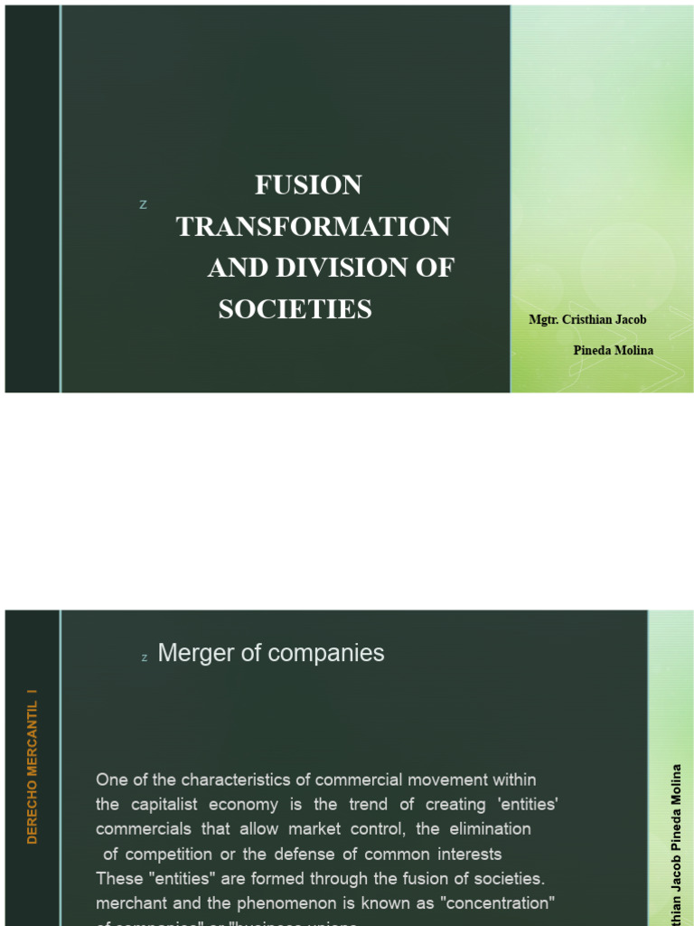 Slides. 6. Merger, Transformation and Split of Companies | PDF ...