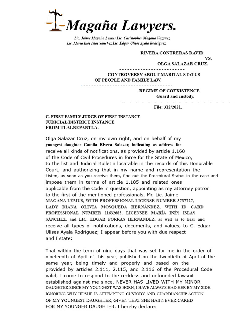 Family Law Custody Dispute Case 312/2021 | PDF | Child Custody | Best ...