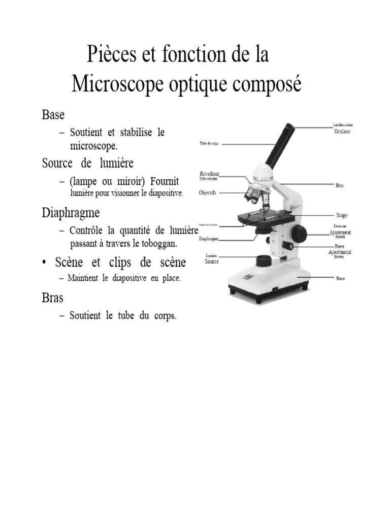 Pièces et utilisation du microscope optique | PDF | Microscope ...