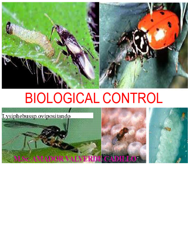 Understanding Biological Control Methods | PDF | Biological Pest ...
