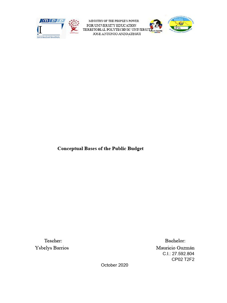 Understanding Public Budget Fundamentals | PDF | Government Budget | Budget