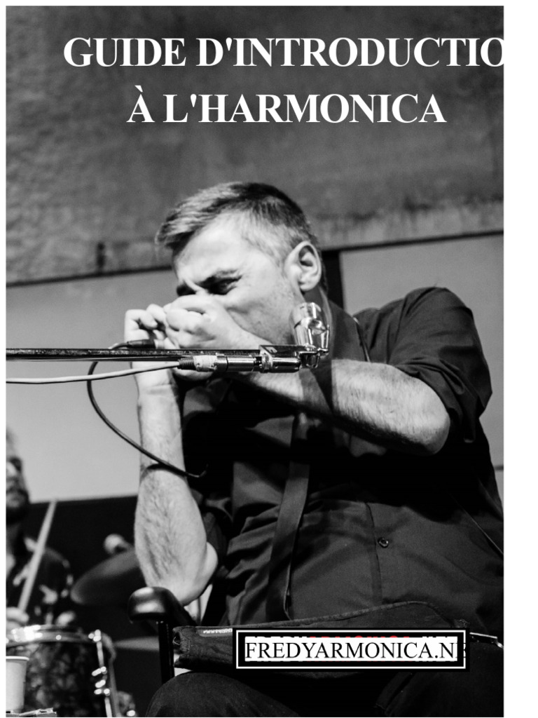 Guide d'initiation à l'harmonica blues | PDF | Harmonica | Blues