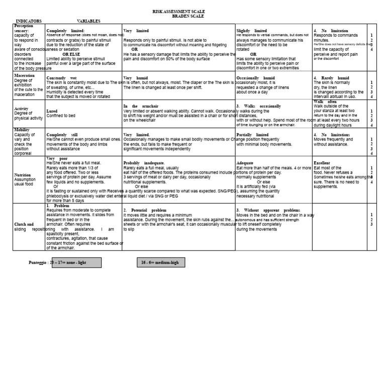 Pietrini_Scale_Braden[1] | PDF | Pain | Perception