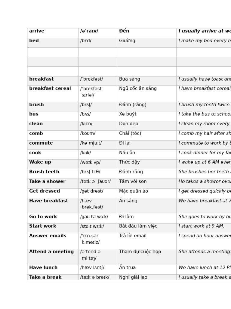 Daily Routine Vocabulary Guide | PDF | Human Anatomy | Primate Anatomy
