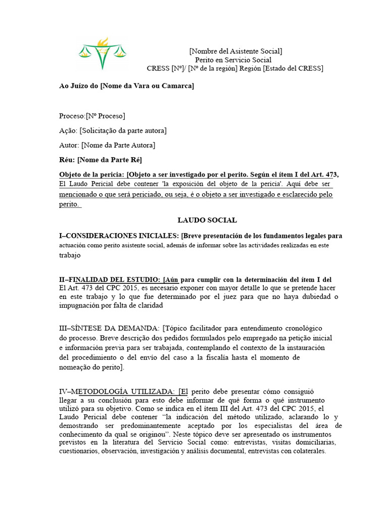 Modelo de Informe Social PURO | PDF | Testigo experto | Trabajo Social