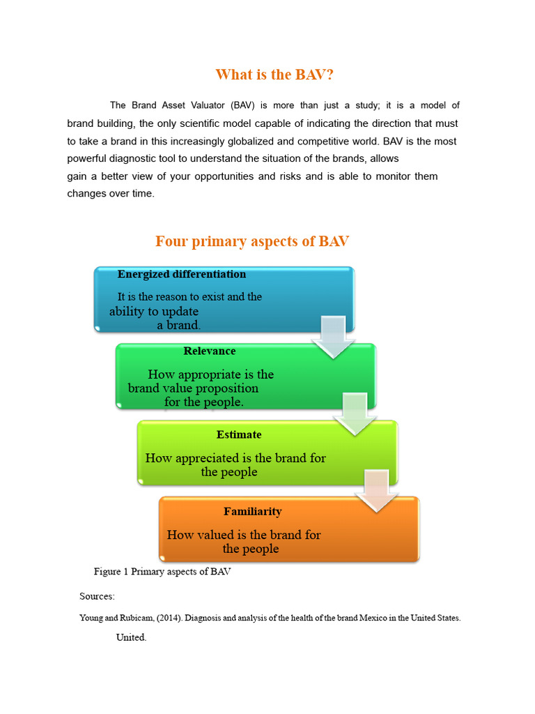 Understanding the Brand Asset Valuator | PDF