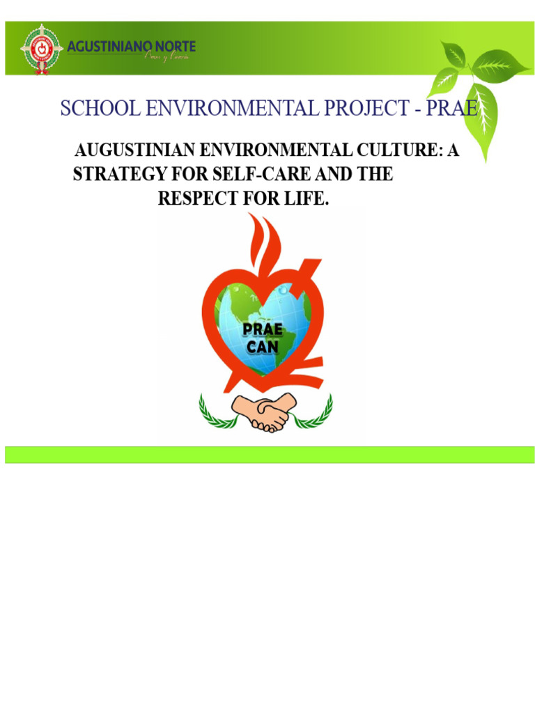 Augustinian Environmental Project Overview | PDF