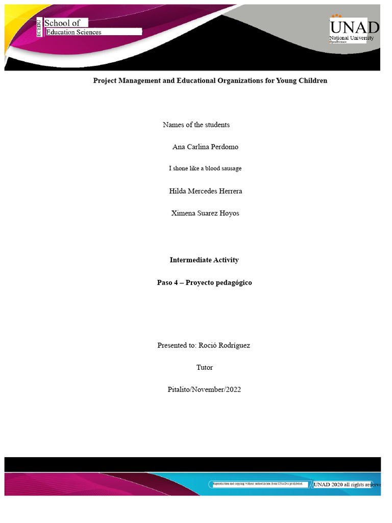Pedagogical Project for Early Childhood Development | PDF | Child ...