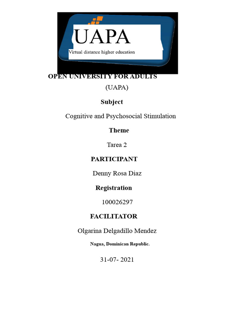 Cognitive Support Evaluation Strategies | PDF