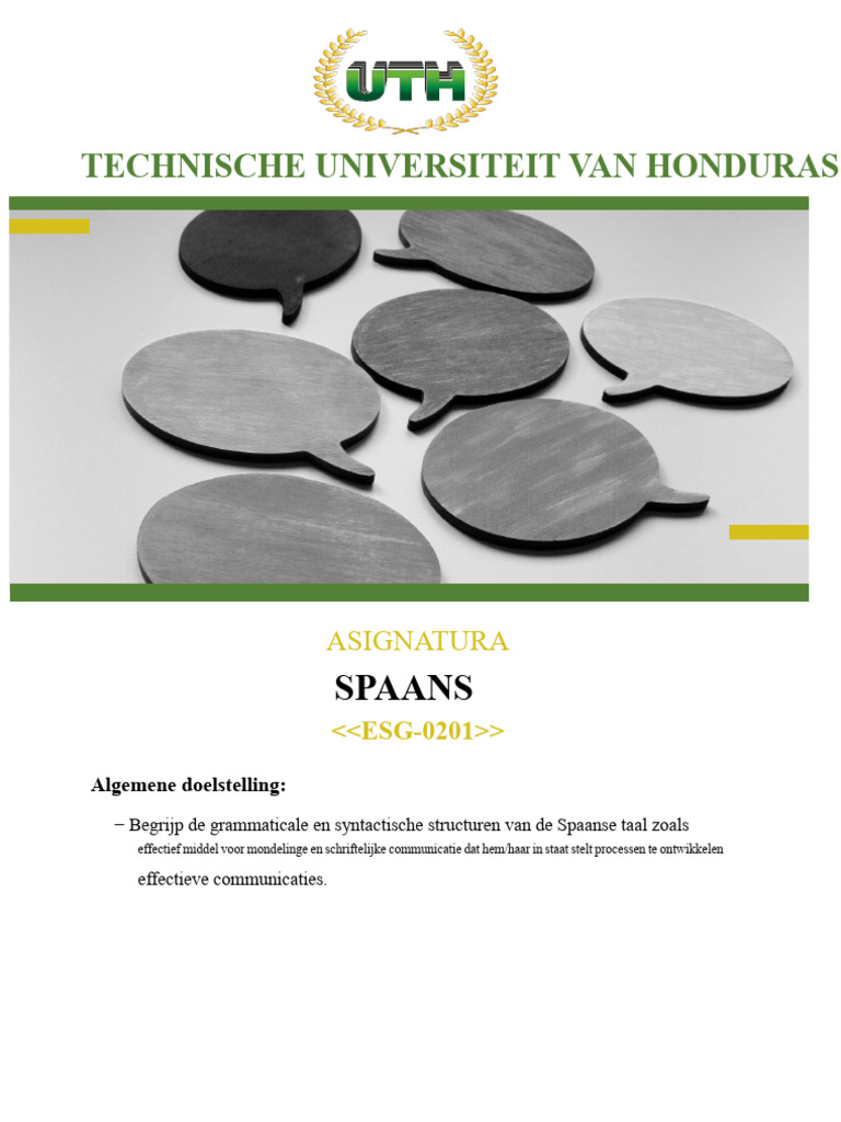Module IV Spaans | PDF