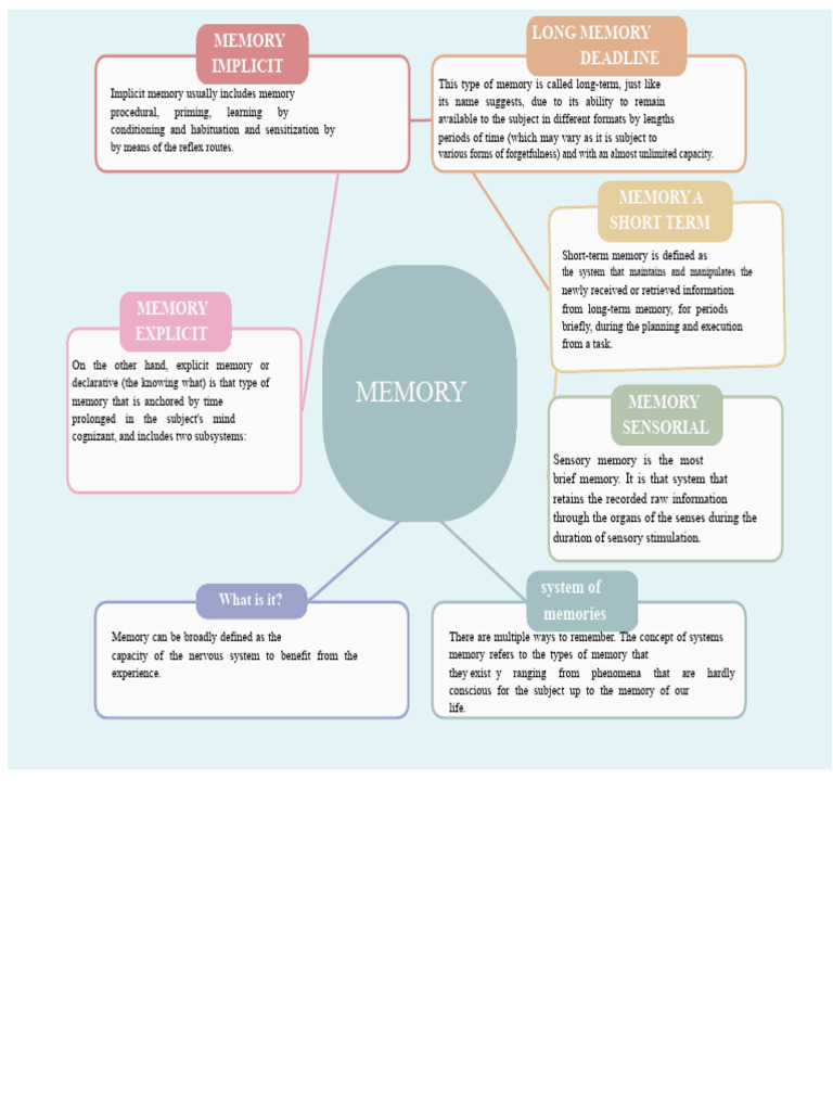 Types and Processes of Memory Explained | PDF | Memory | Perception