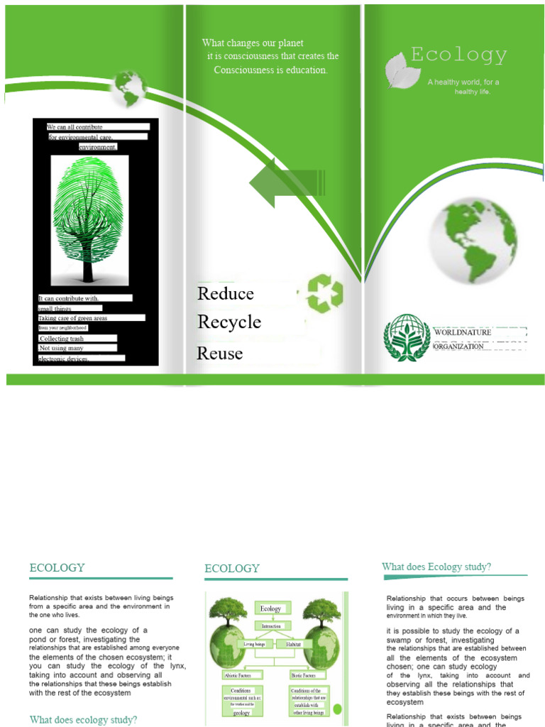 TRIPTYCH 1 (1) | PDF | Ecology | Natural Environment