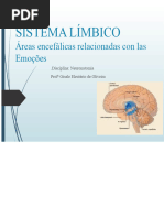 Rol del Sistema Límbico en Decisiones | PDF | Las emociones | Sistema ...