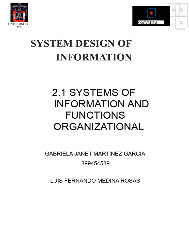 Overview of Information Systems Functions | PDF | Information | Chief ...