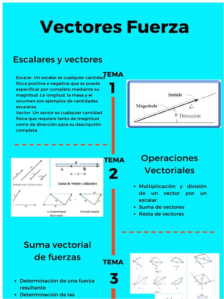 Infografia Vetores de Força | PDF