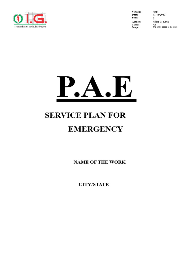 Model - Pae - 2018 | PDF | Cardiopulmonary Resuscitation | First Aid