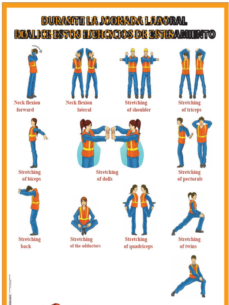 Essential Stretching Exercises for Work | PDF