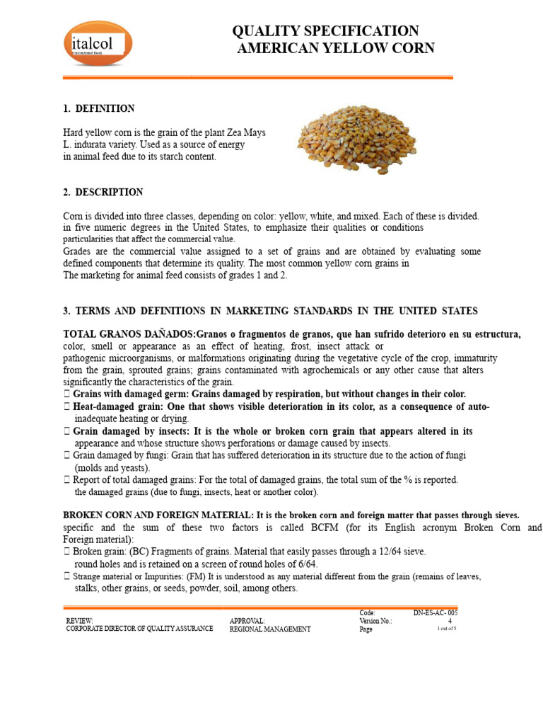 American Yellow Corn Quality Standards | PDF | Maize | Cereals