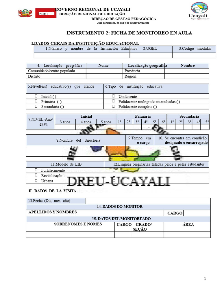 Ficha de Monitoramento Escolar Ucayali | PDF | Aprendizado | Pedagogia