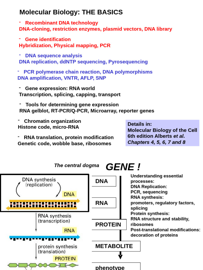 Essential Molecular Biology Techniques | PDF | Dna Replication | Dna ...