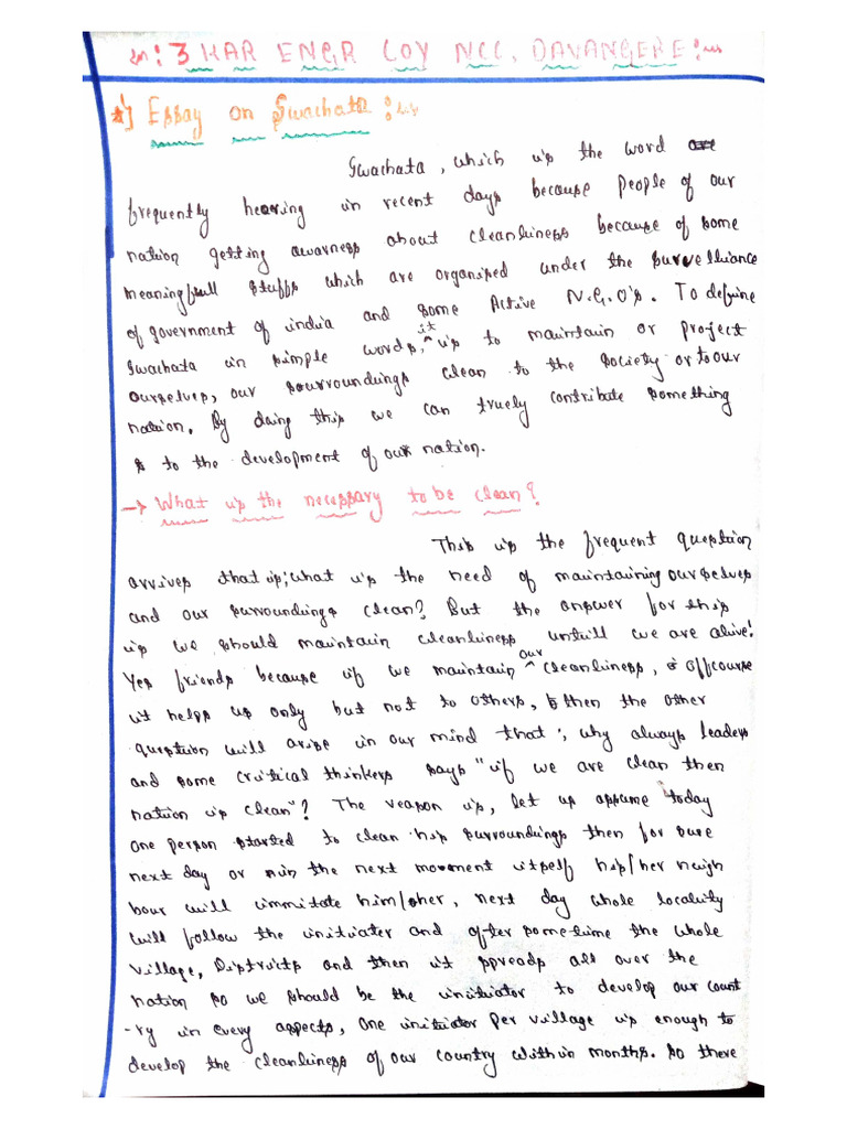 Essay On Cleanliness | PDF