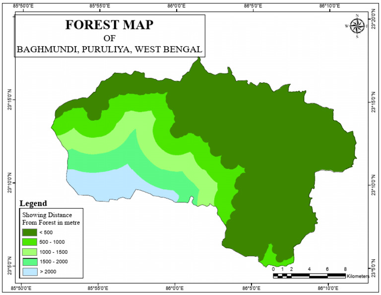 Forest Layout 3 | PDF