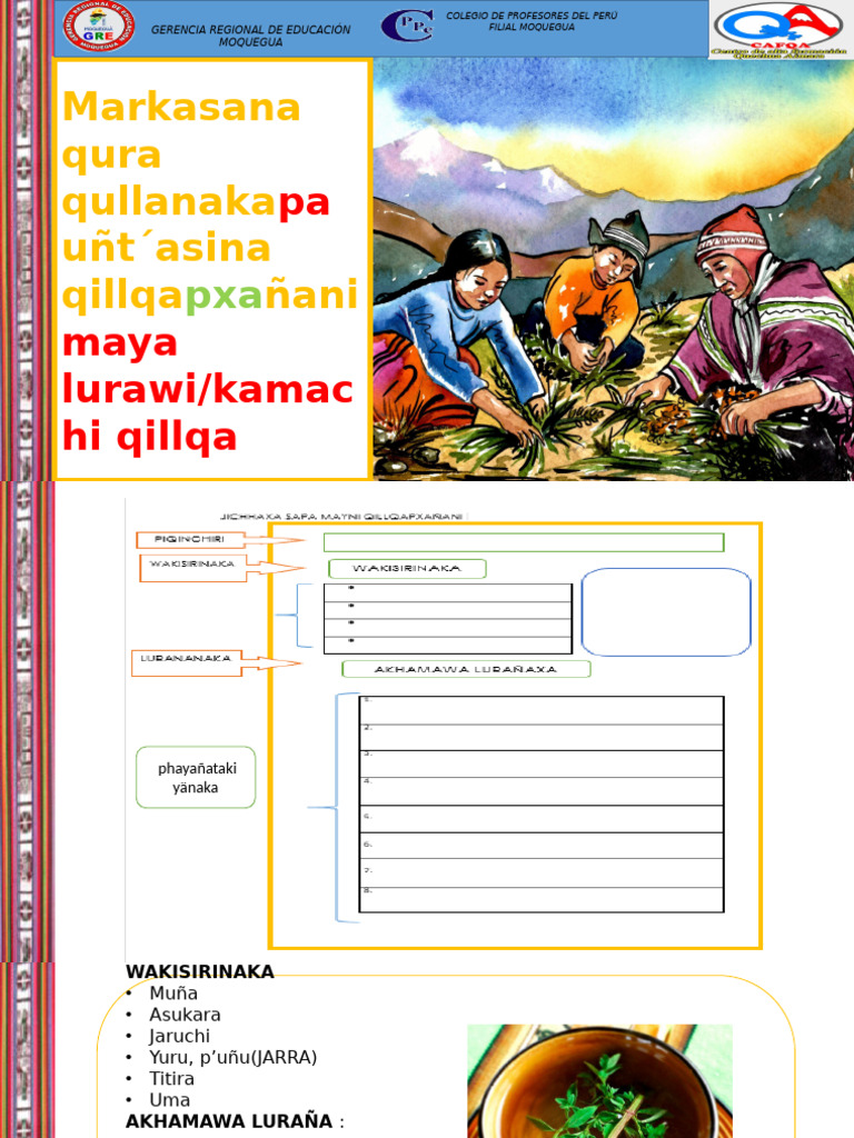 Sesion 7 Cafqa Moquegua Aym Bac Texto Instructivo | PDF