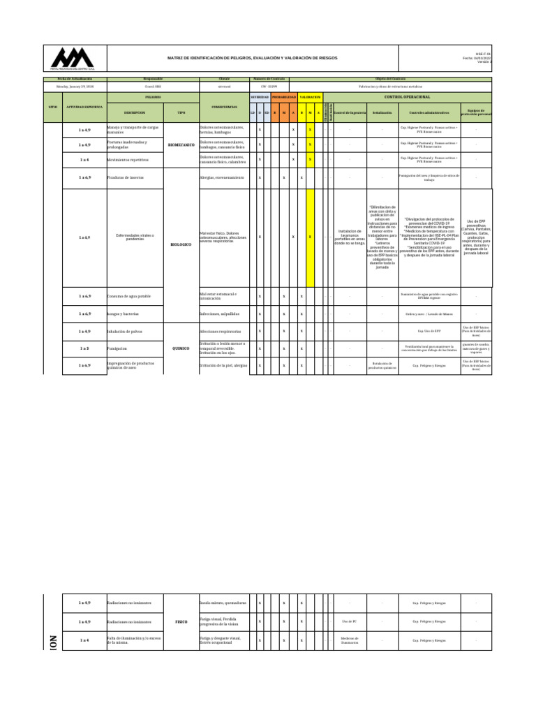 Identificación y Evaluación de Riesgos Laborales | PDF | Dolor lumbar ...