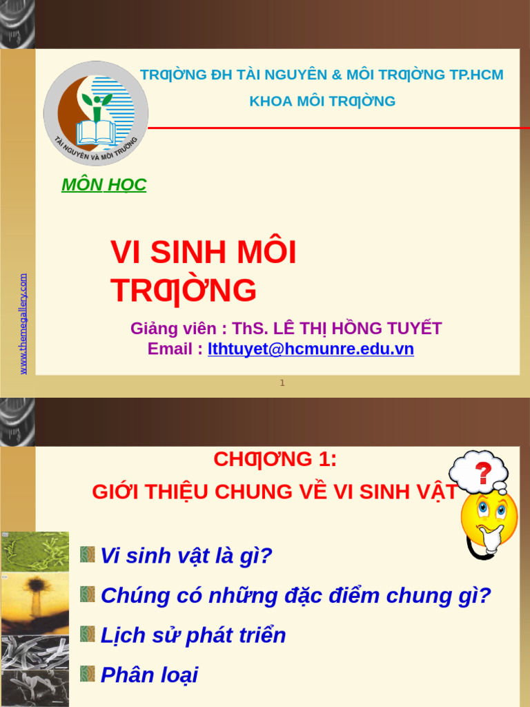 Chuong 1 Gioi Thieu Chung VSV | PDF