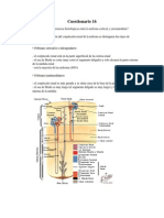 Funciones renales y alteraciones histológicas