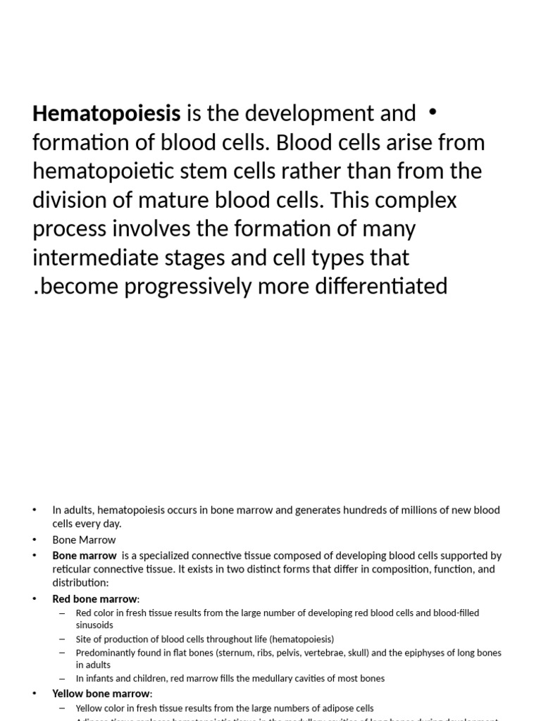 Hematopoiesis and Bone Marrow Overview | PDF | White Blood Cell | Bone ...
