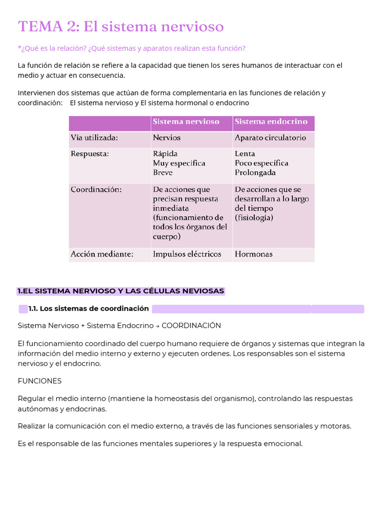 Funciones y Estructura del Sistema Nervioso | PDF | Sinapsis | Nervio