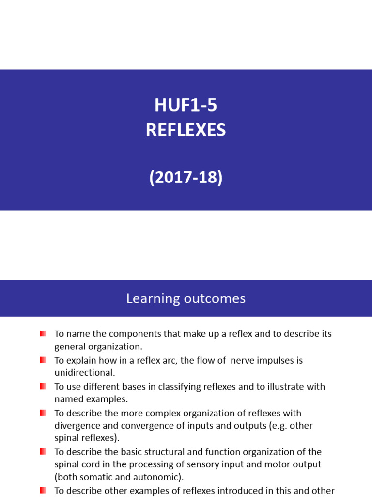 5. Reflexes.pdf | PDF | Motor Neuron | Autonomic Nervous System