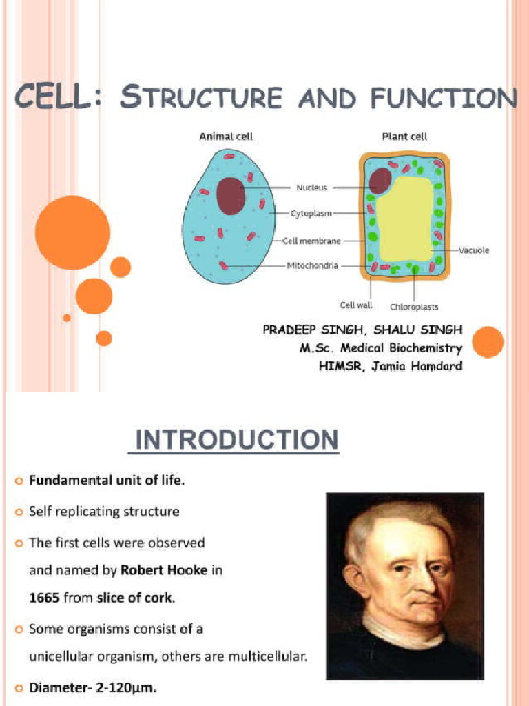 Cell Structure Function 152439752 | PDF