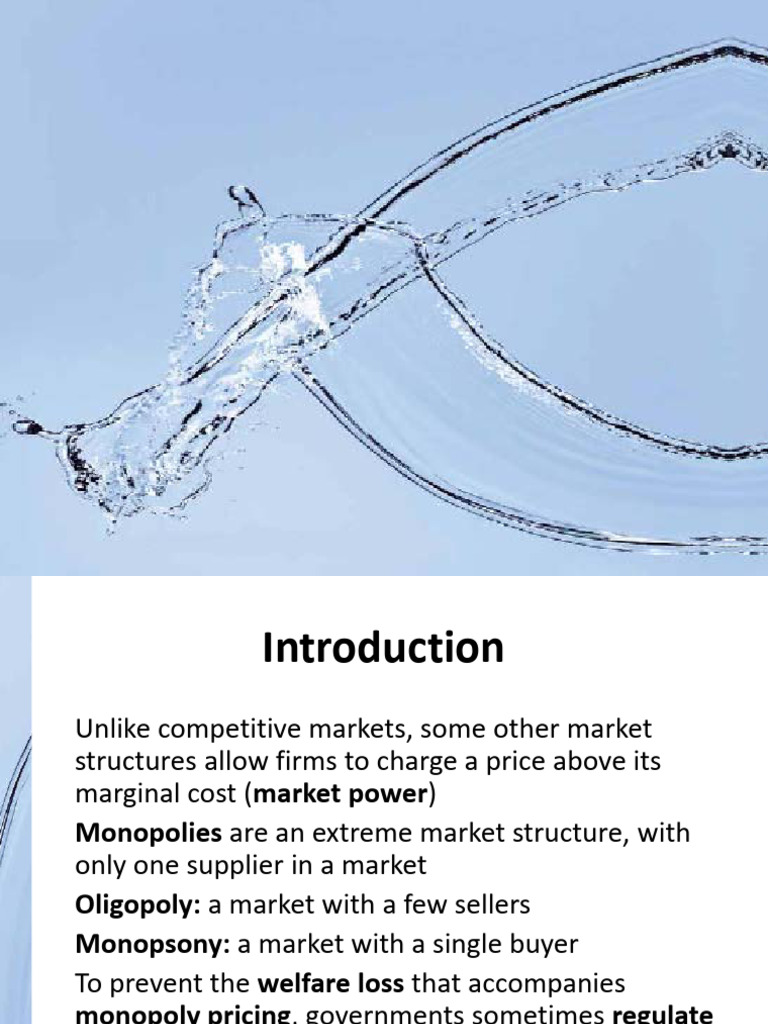L5Monopoly | PDF | Monopoly | Market Power