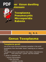 Download Toxoplasma Pneumocystis Microsporidia Babesia by dhainey SN9702945 doc pdf