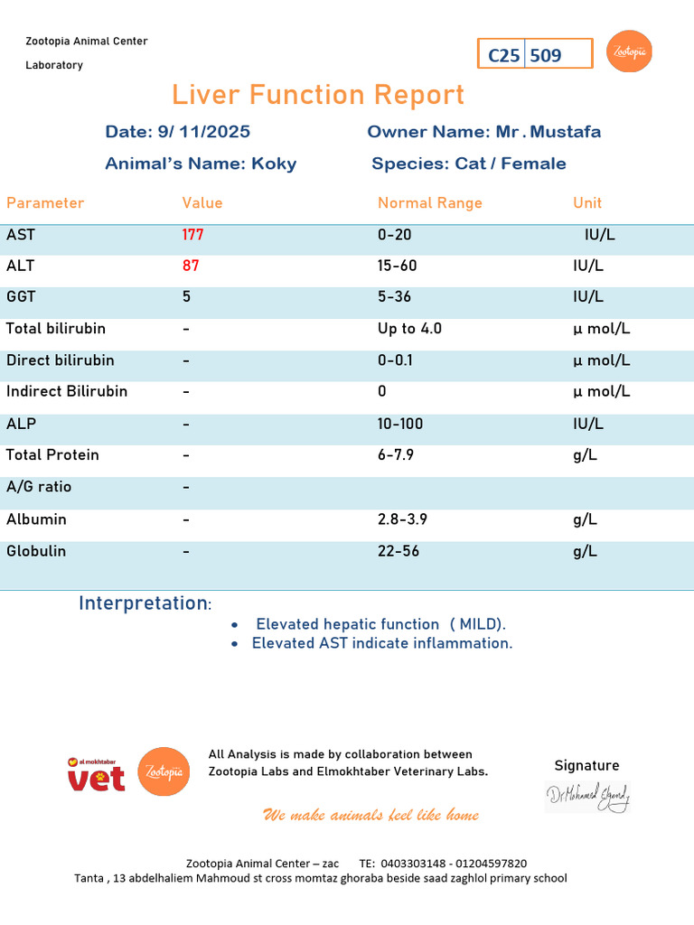 Liver Function Report for Cat Koky | PDF