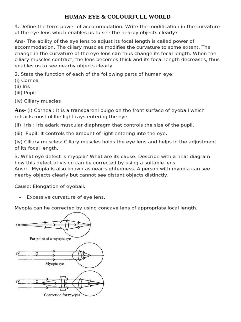 Understanding Human Eye Defects and Vision | PDF | Myopia | Sky