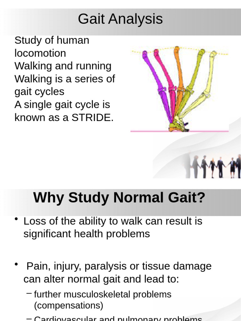 Understanding Gait Analysis and Phases | PDF | Anatomical Terms Of ...