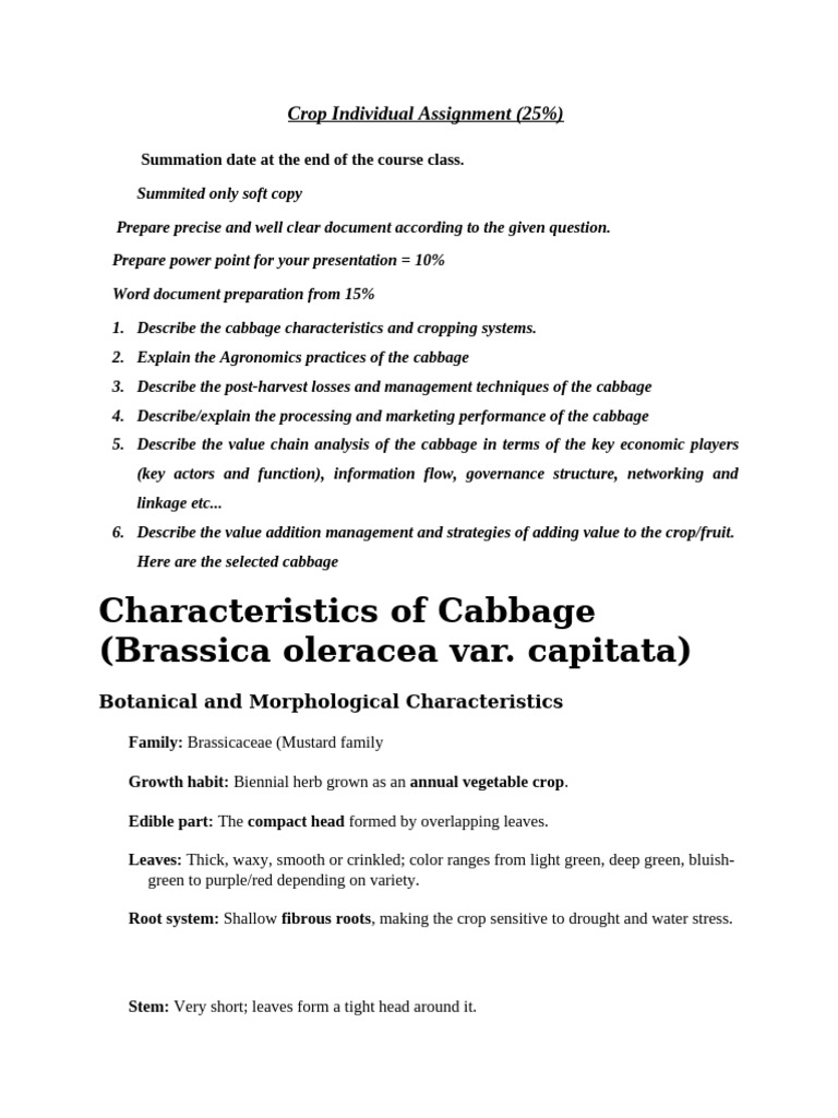 Cabbage Cultivation and Management Guide | PDF | Cabbage | Crop Rotation